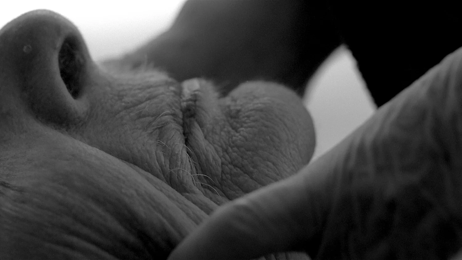 Filmstill aus Wir sterben