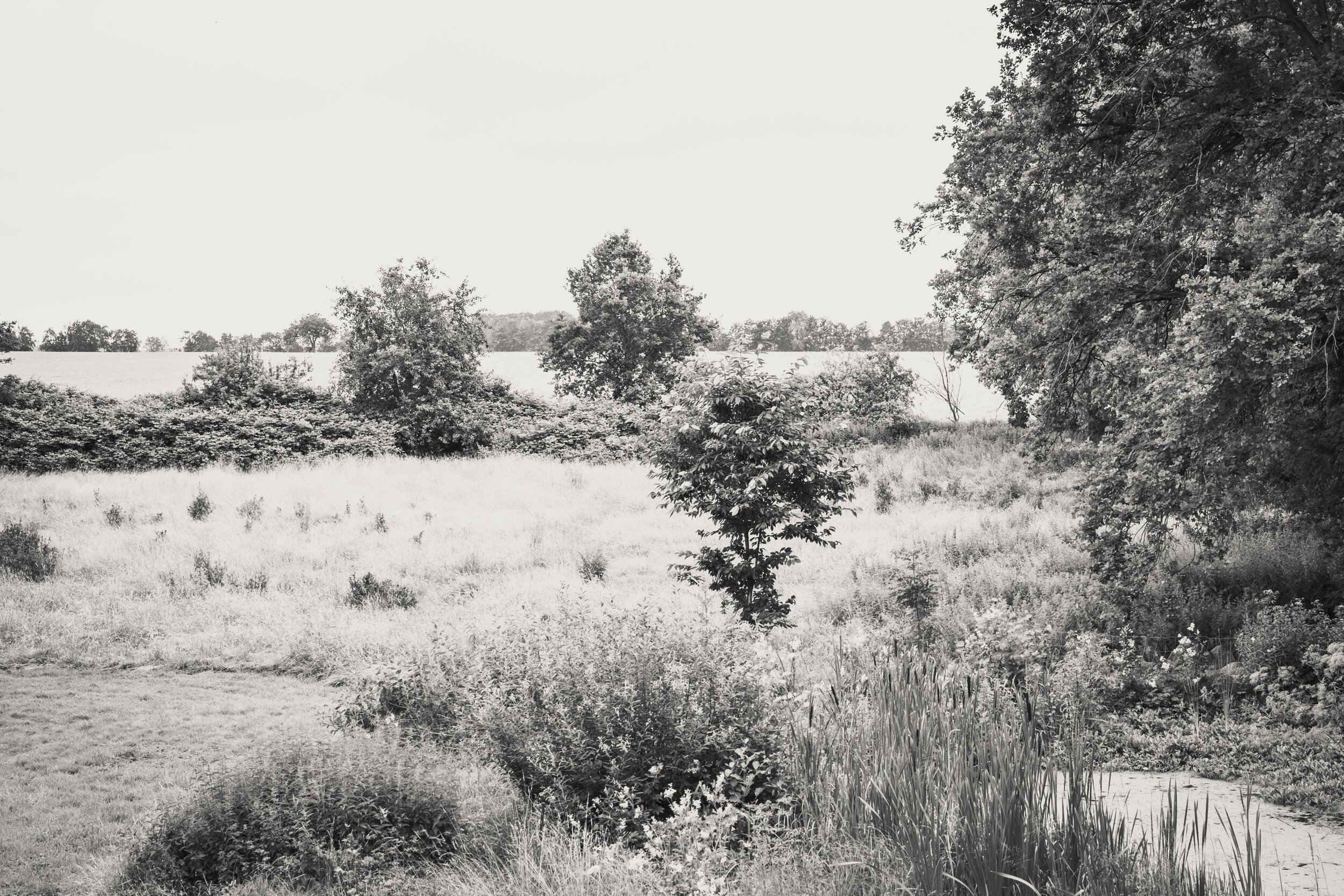 Landschaft im Wendland